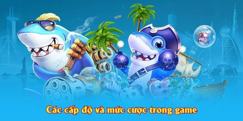 Các cấp độ và mức cược trong game