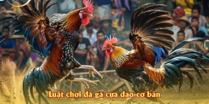 Luật chơi đá gà cựa dao cơ bản