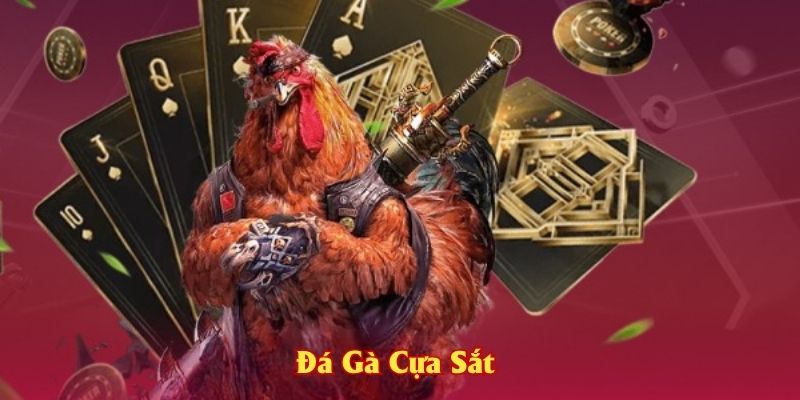Đá gà cựa sắt