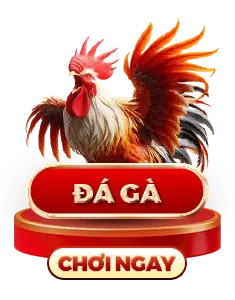 Đá gà J88