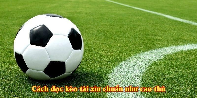 Cách đọc kèo tài xỉu chuẩn như cao thủ